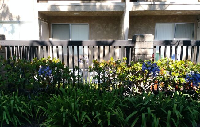 1 bed, 1 bath, 630 sqft, $2,195, Unit 025