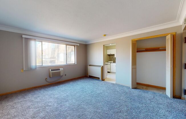 Studio, 1 bath, 500 sqft, $750, Unit 207