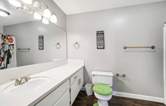 a bathroom with a toilet and a sink and a mirror