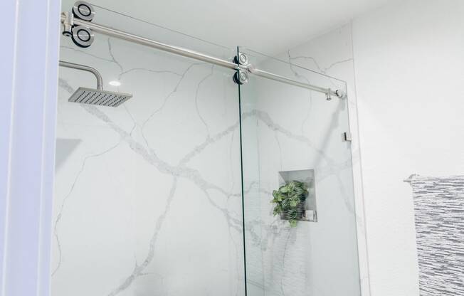 Bathroom with Rain Shower