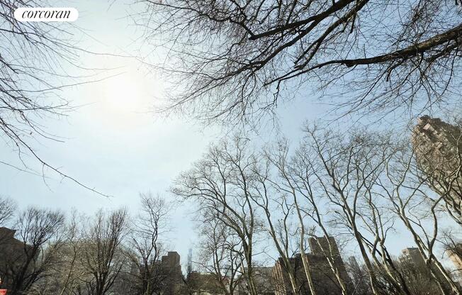 1 bed, 1 bath, $5,500, Unit 10I