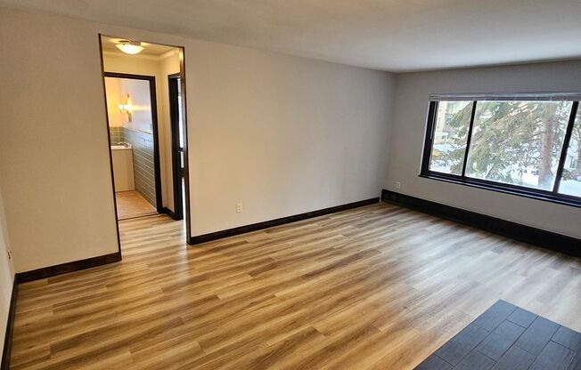 1 bed, 1 bath, 486 sqft, $1,095, Unit 316-505