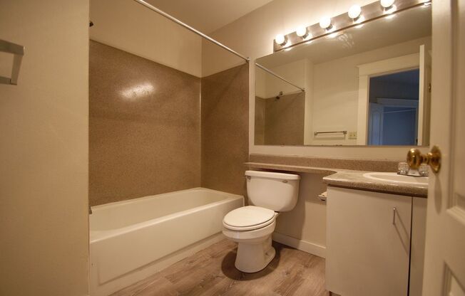 1 bed, 1 bath, 504 sqft, $1,395, Unit 311