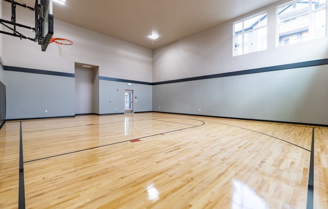 Basketball Court