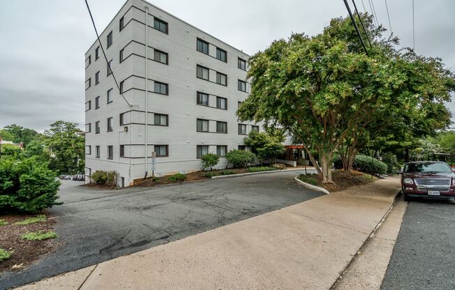 Rare Large Efficiency (552 Sq Ft) Close To Courthouse Metro In Adams House - Utilities Included!