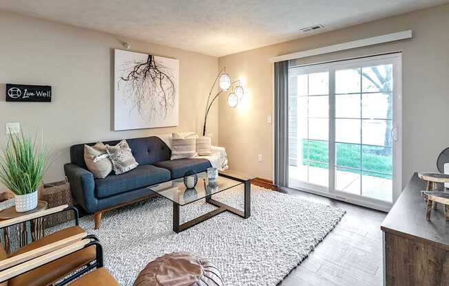 Living Room with Natural Light at Tiburon View Apartments, Omaha, NE