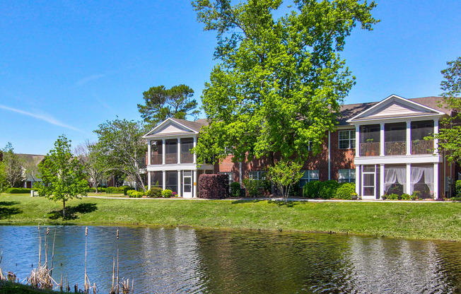 the pond in front of our apartments