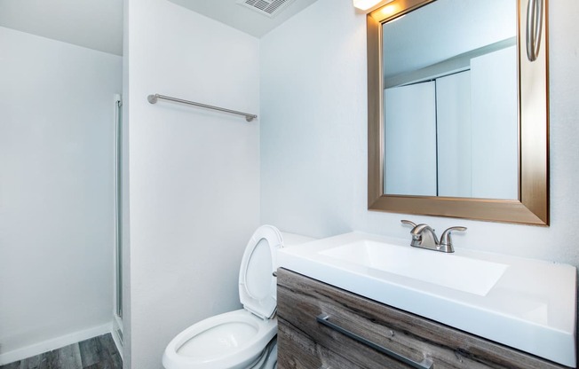 a bathroom with a toilet sink mirror and shower