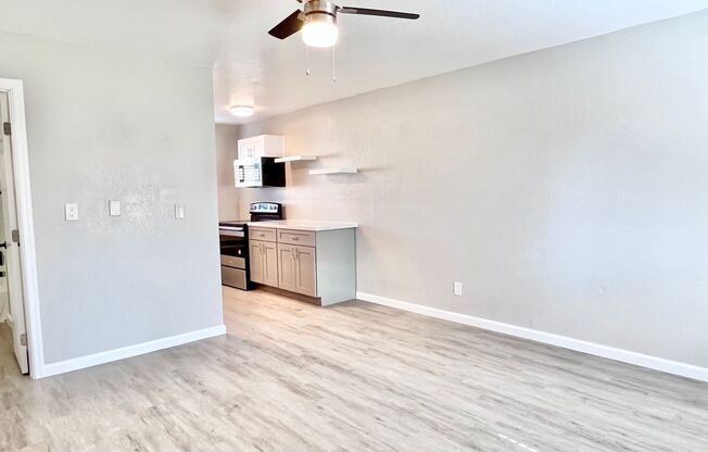 Studio, 1 bath, 407 sqft, $995, Unit 107