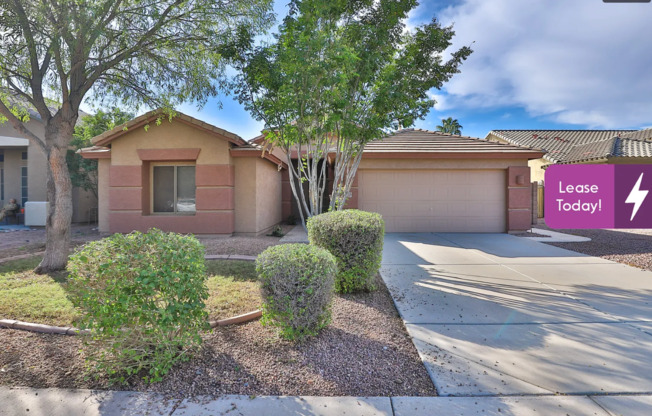 Coming soon Four bed two bath - Chandler