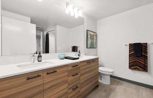 A bathroom with a white counter top and a toilet.