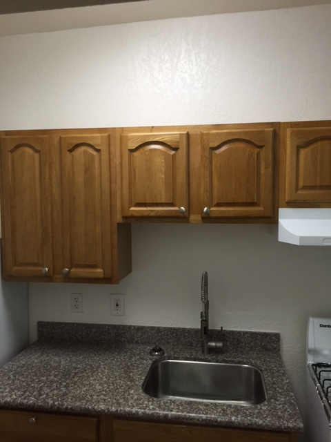 Studio, 1 bath, 265 sqft, $1,925, Unit 03RD-574#117