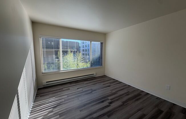 Studio, 1 bath, 400 sqft, $1,195, Unit 206