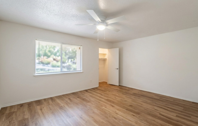 2 beds, 1 bath, 785 sqft, $1,100