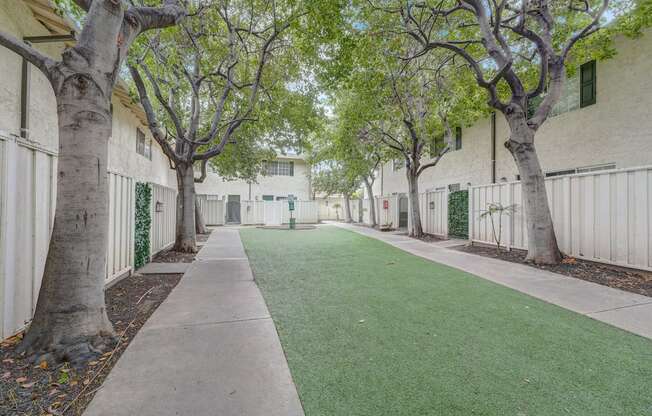 a yard in front of a building with trees