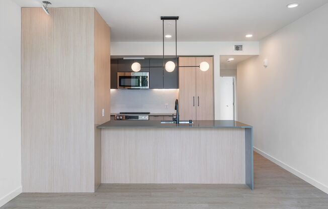1 bed, 1 bath, 421 sqft, $1,795, Unit 409