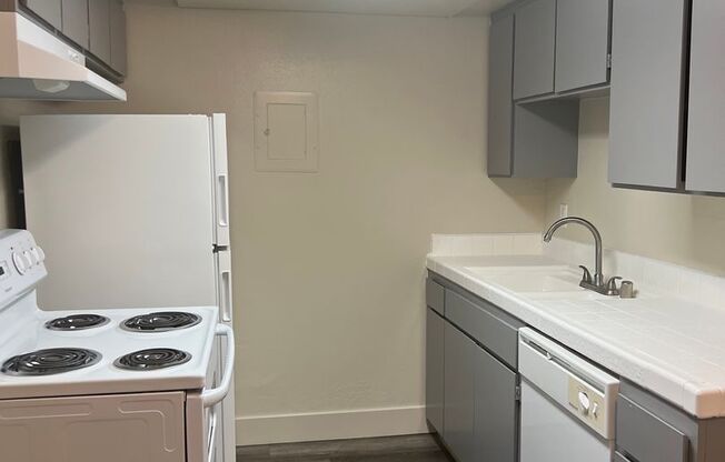 Studio, 1 bath, 430 sqft, $1,125
