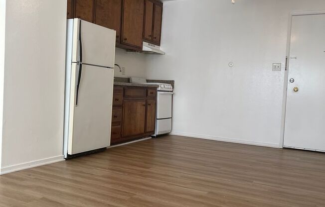 Studio, 1 bath, 450 sqft, $1,100, Unit 305