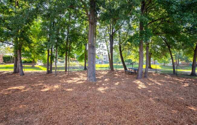 Park View at Jamison Park, North Charleston, 29406