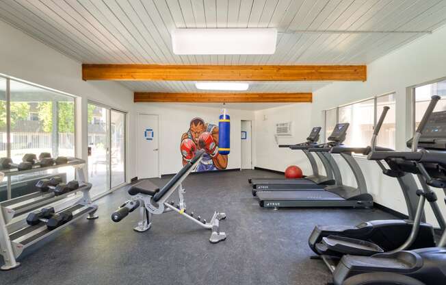 a home gym with exercise equipment and a mural of a hockey player on the wall