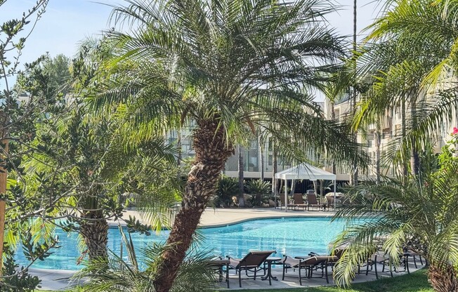 2 beds, 2 baths, 920 sqft, $2,695, Unit 204