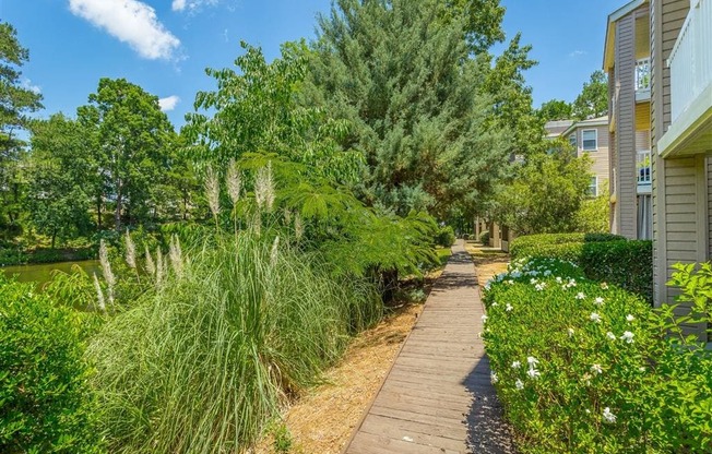 a walkway through a garden with trees and plants