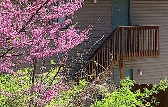 Moss Creek Apartments