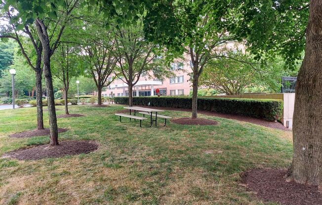 Spacious 1br/1bth Condo minutes from Downtown Silver Spring!