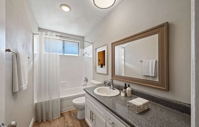 A bathroom with a sink, mirror, and shower.
