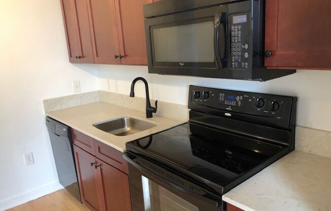 Studio, 1 bath, 500 sqft, $1,499, Unit 201