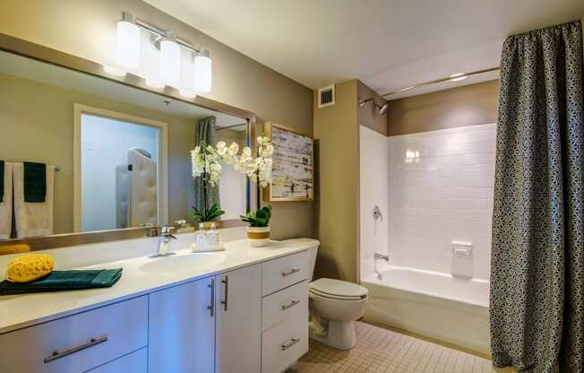 Spa-inspired bathrooms at The Zenith, Baltimore, 21201