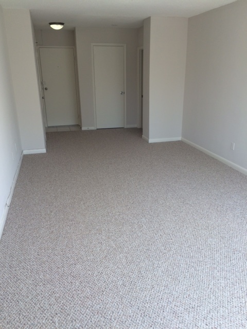 Studio, 1 bath, 405 sqft, $1,695, Unit 0806