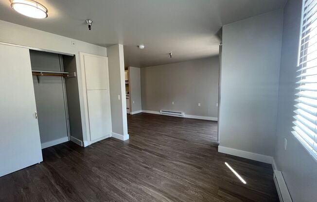 Studio, 1 bath, 480 sqft, $1,450, Unit 228