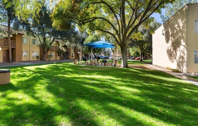 Community green space with shade trees