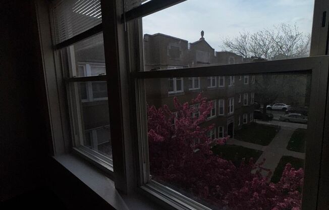 Studio, 1 bath, 600 sqft, $1,350, Unit 4828-2E