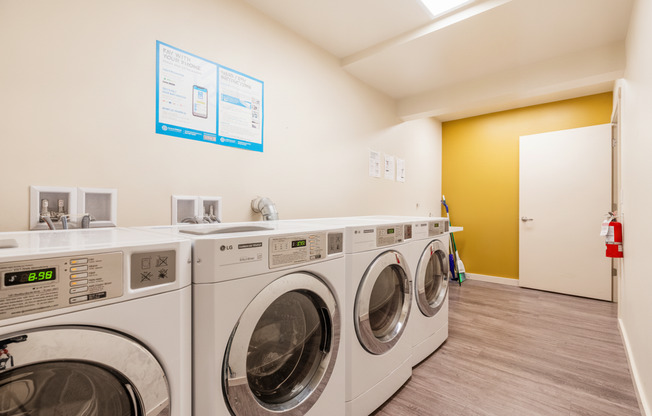 1 bed, 1 bath, 744 sqft, $1,795, Unit 127