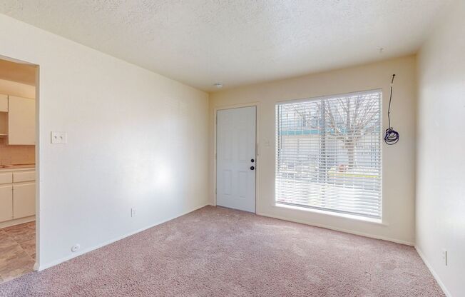1 bed, 1 bath, 500 sqft, $825, Unit Unit 13