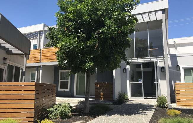 a tree in front of a building