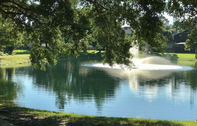 2 beds, 2 baths, $1,625, Unit Unit 1006