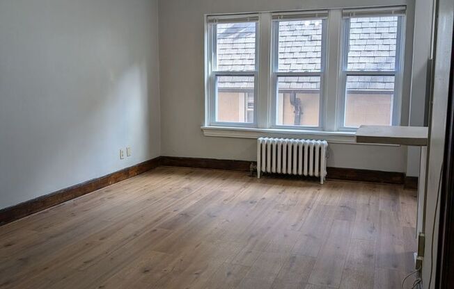 Studio, 1 bath, $795, Unit 204