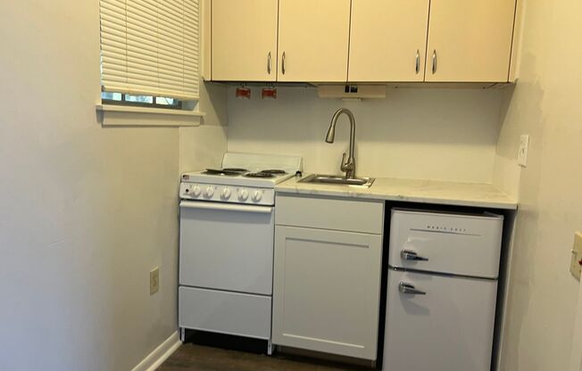 Studio, 1 bath, 300 sqft, $550, Unit Unit 217