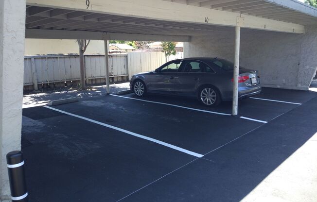 2 beds, 1 bath, 875 sqft, $2,595, Unit #13