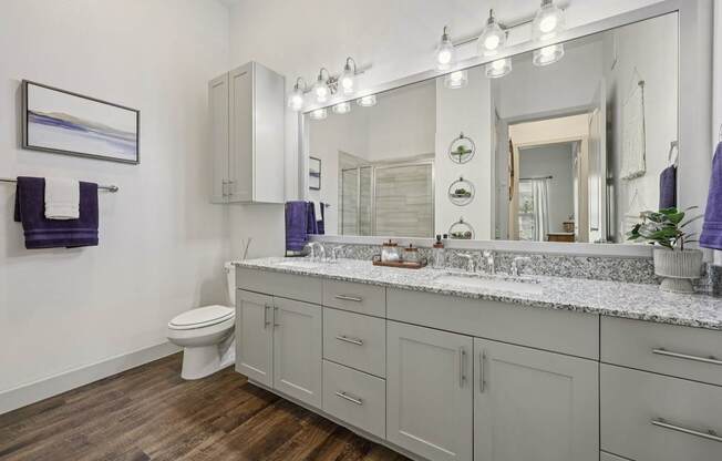 A bathroom with a white toilet and a large mirror.