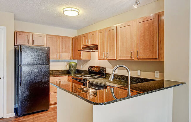 Fully-Equipped Apartment Kitchen