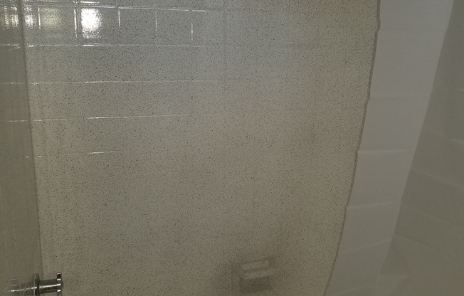 Studio, 1 bath, 450 sqft, $1,450, Unit 218