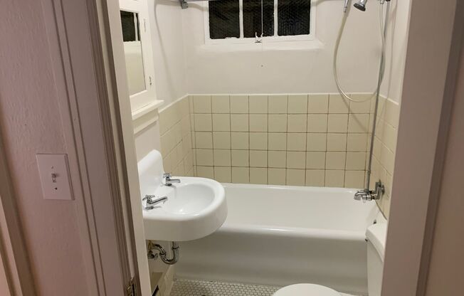 Studio, 1 bath, 265 sqft, $1,195, Unit 107