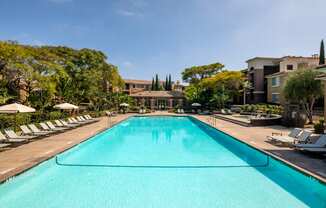 the swimming pool at the resort