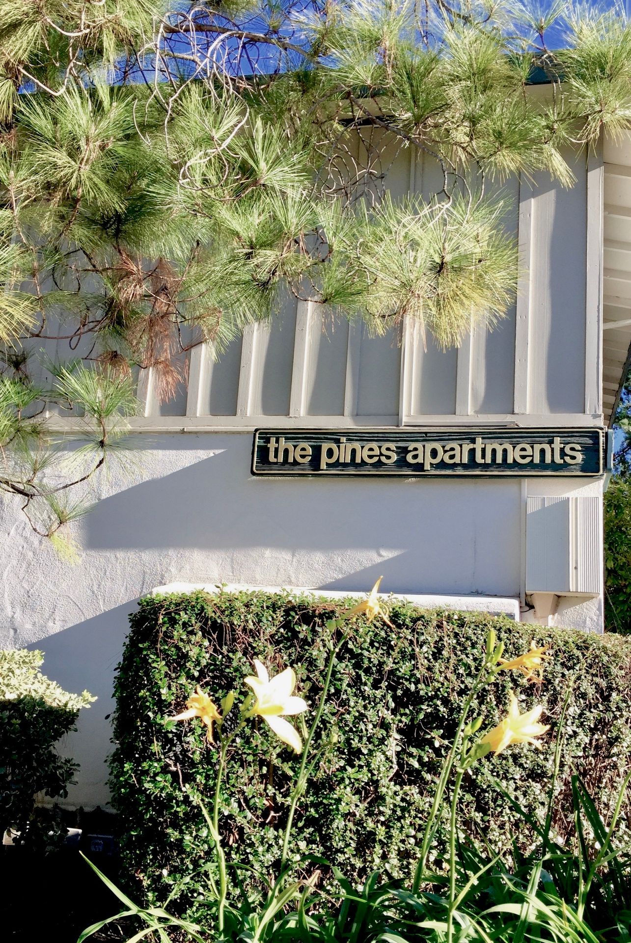 Menlo Park - The Pines Apts - In West Menlo, Close to Shopping, Restaurants, Stanford