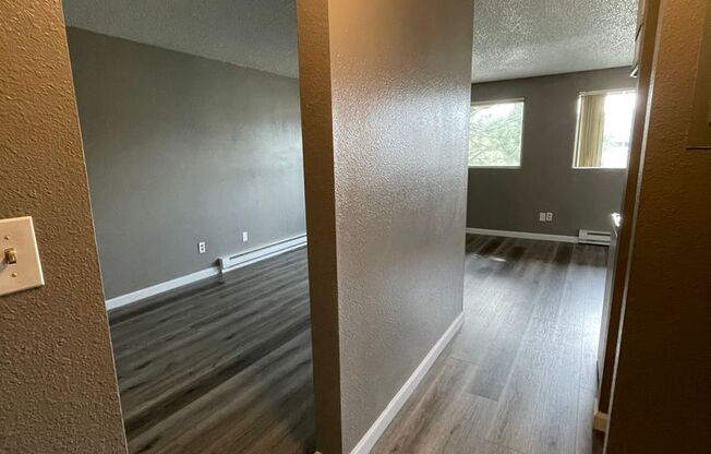Studio, 1 bath, $800, Unit 53