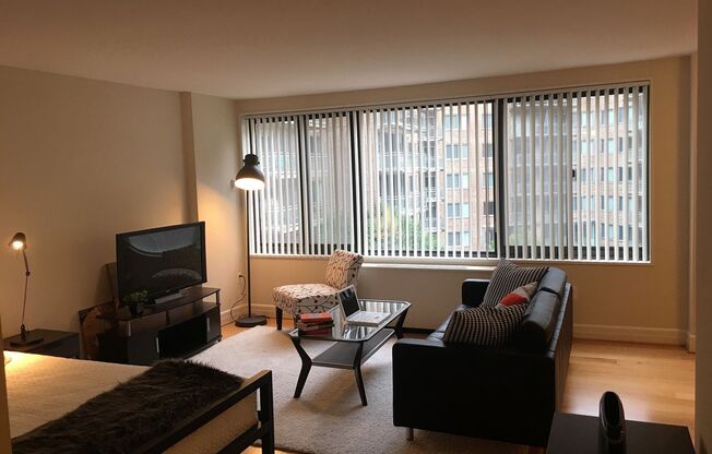 Studio, 1 bath, 470 sqft, $2,000